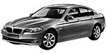 BMW F10 P179A Fault Code
